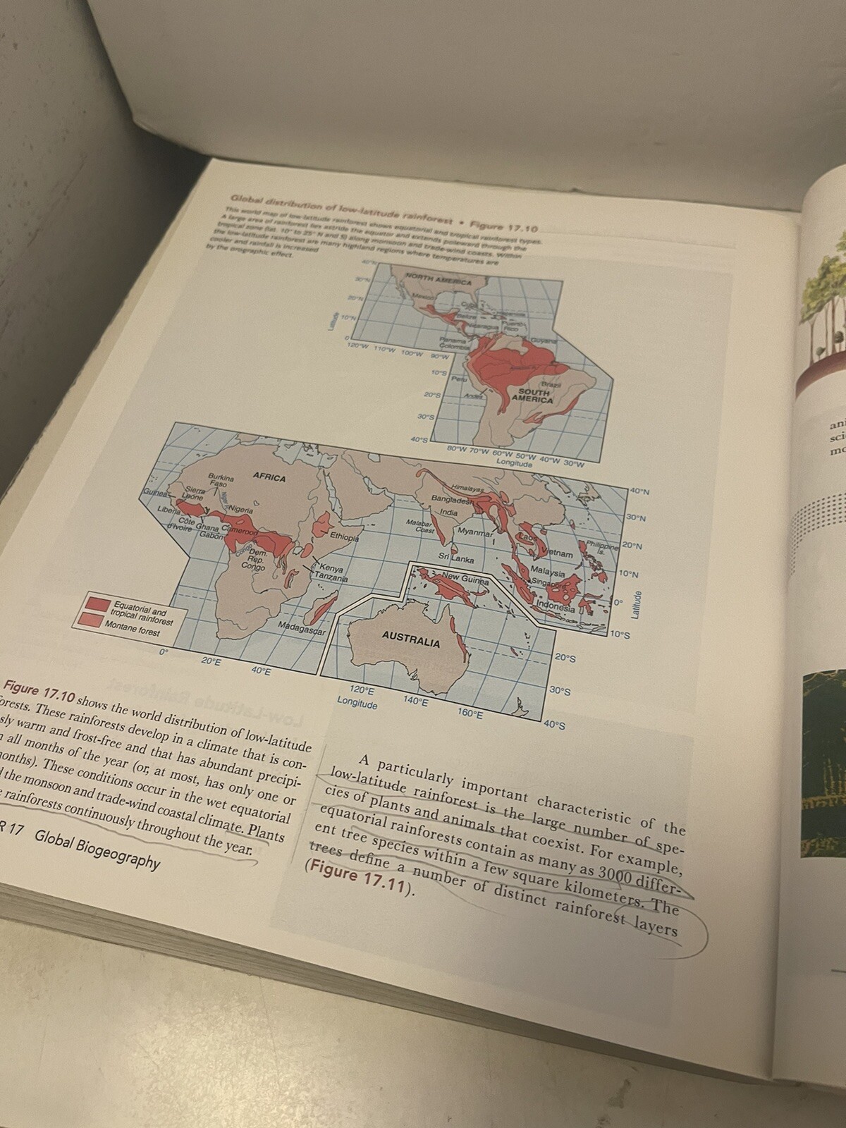 Visualizing Ser.: Visualizing Physical Geography by Timothy Foresman and Alan H.