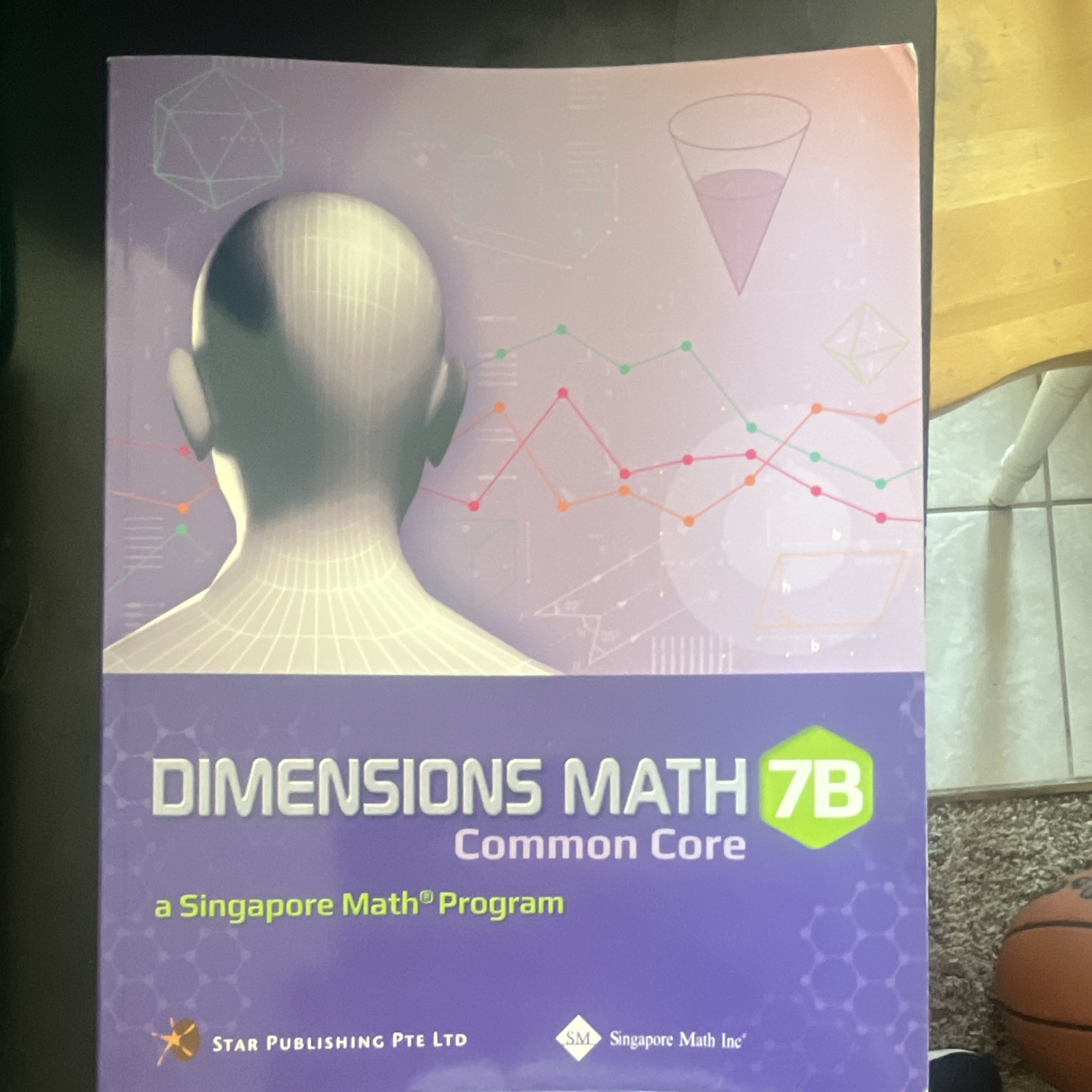 Singapore Math Dimensions Math 7B Common Core Textbook Paperback 2018