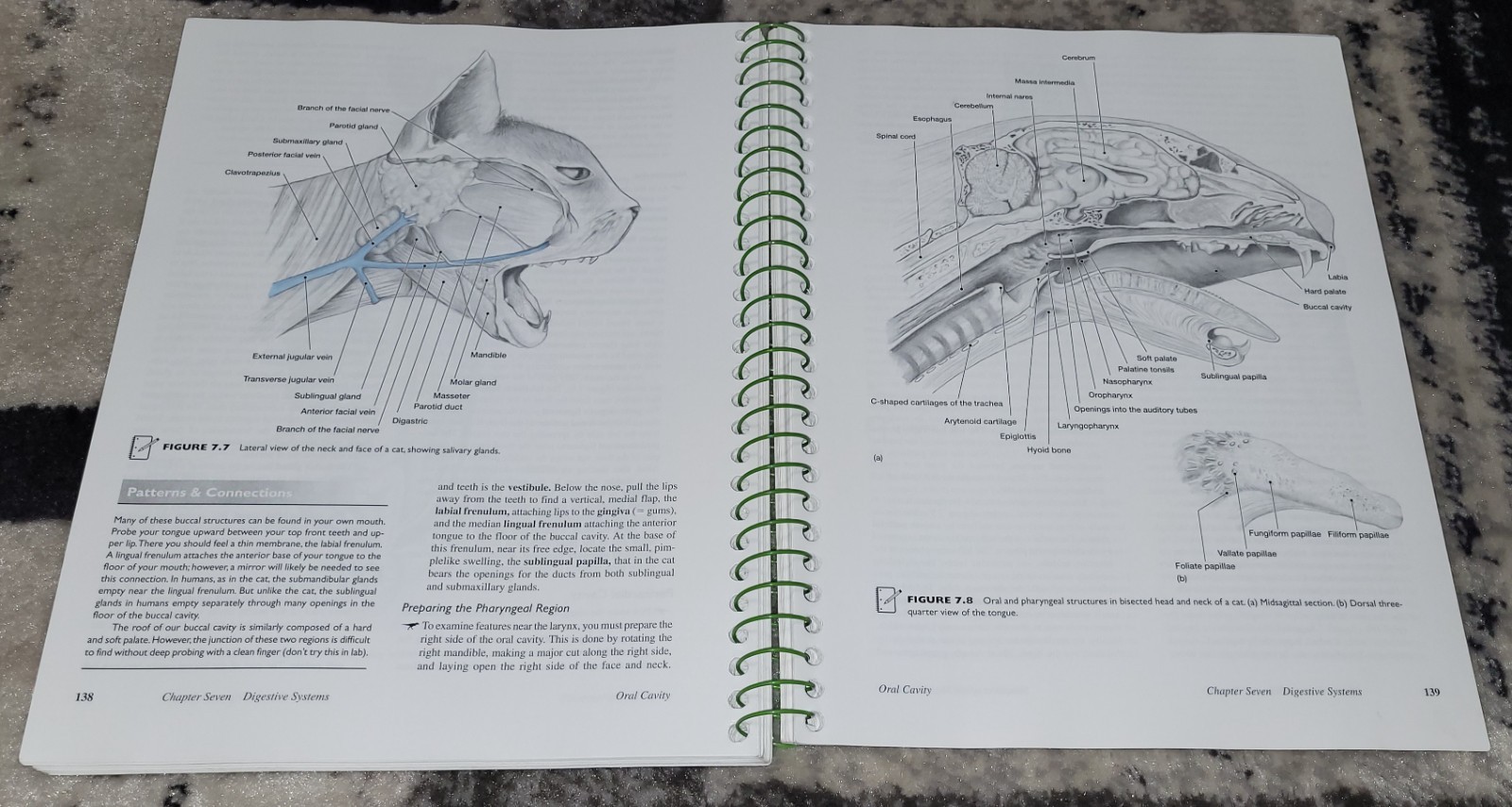 Vertebrates + Lab Dissection Manual