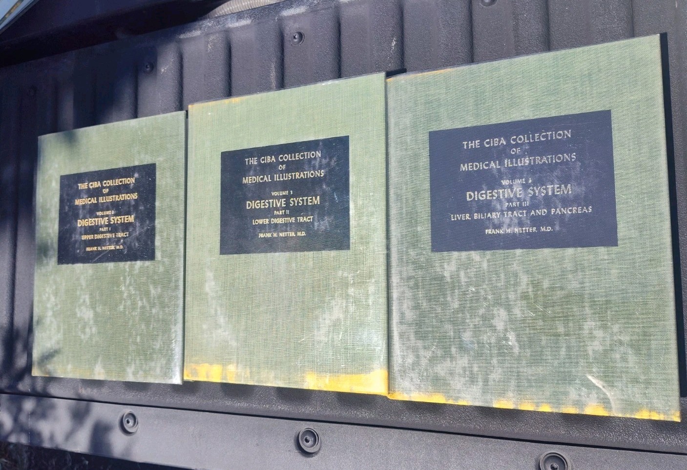 The Ciba Collection of Medical Illustrations 10 Volumes F Netter- Classic Set HB