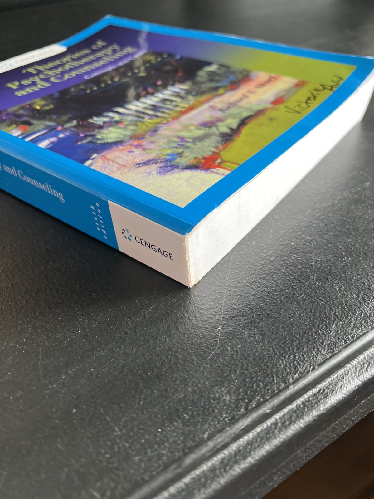 Theories of Psychotherapy & Counseling: Concepts & Cases by Richard Sharf 6th Ed