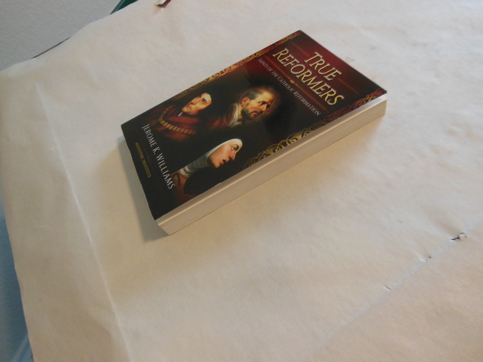 True Reformers: Saints of the Catholic Reformation by Jerome K. Williams (2017)