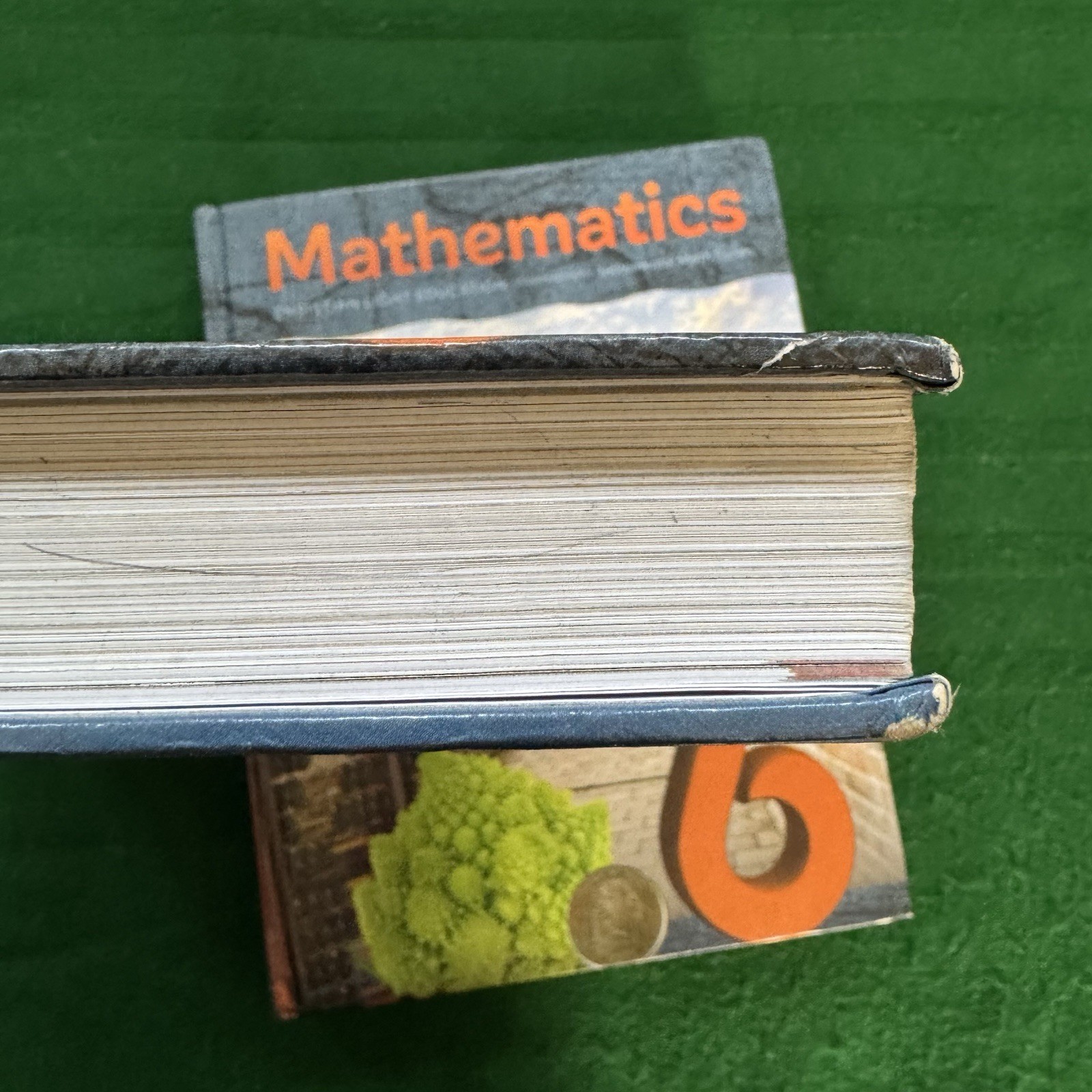 Christian Light Education Grade 6 Mathematics Math in History Hardcover CLE 📚