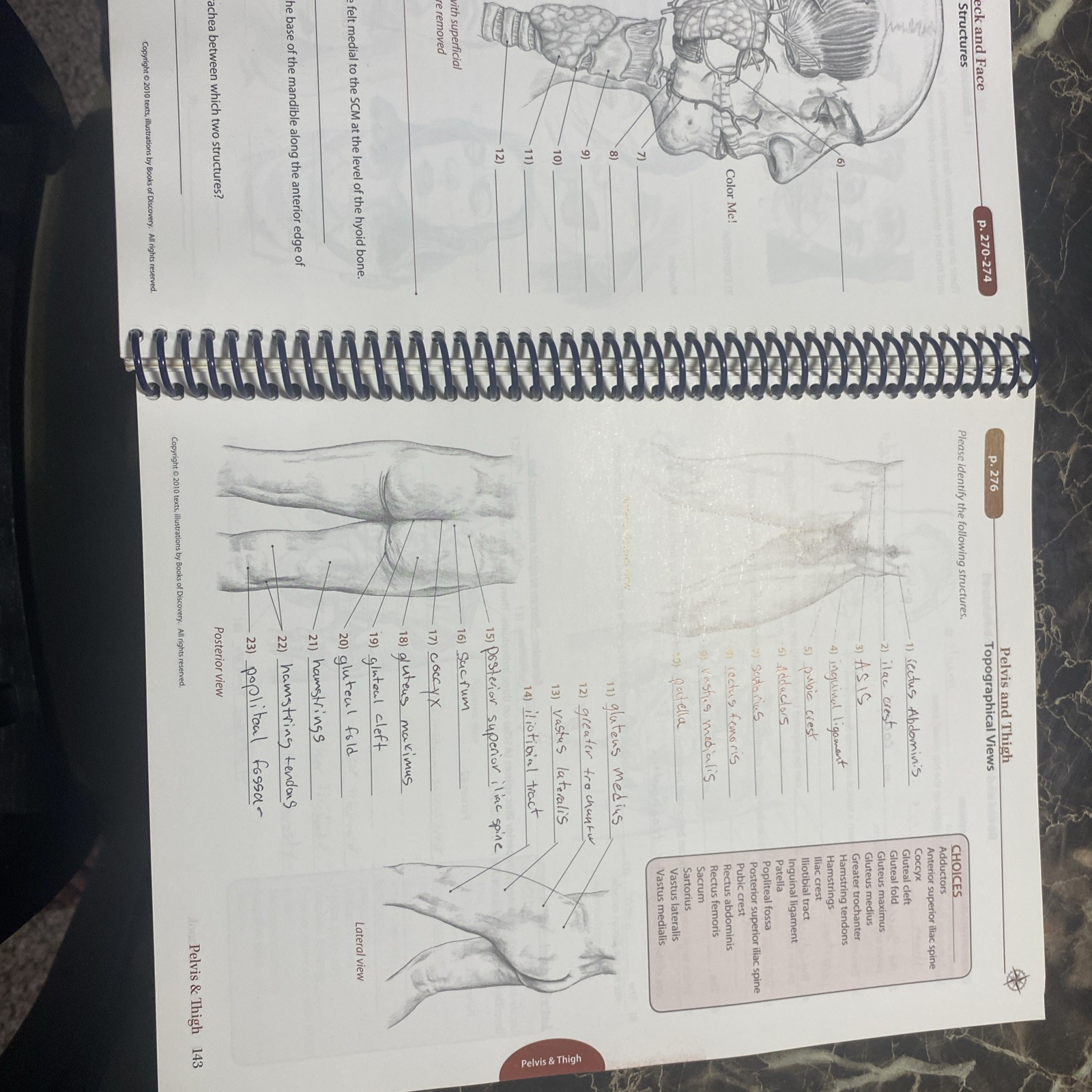 Trail Guide to the Body 4e Student Workbook by Andrew Biel (2011, Trade…