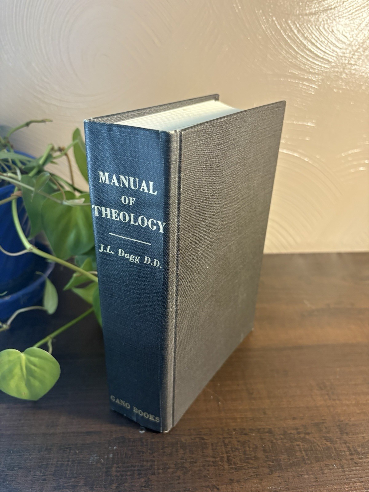 Manual of Theology J L Dagg Baptist Theology Doctrinal Christian Seminary HC