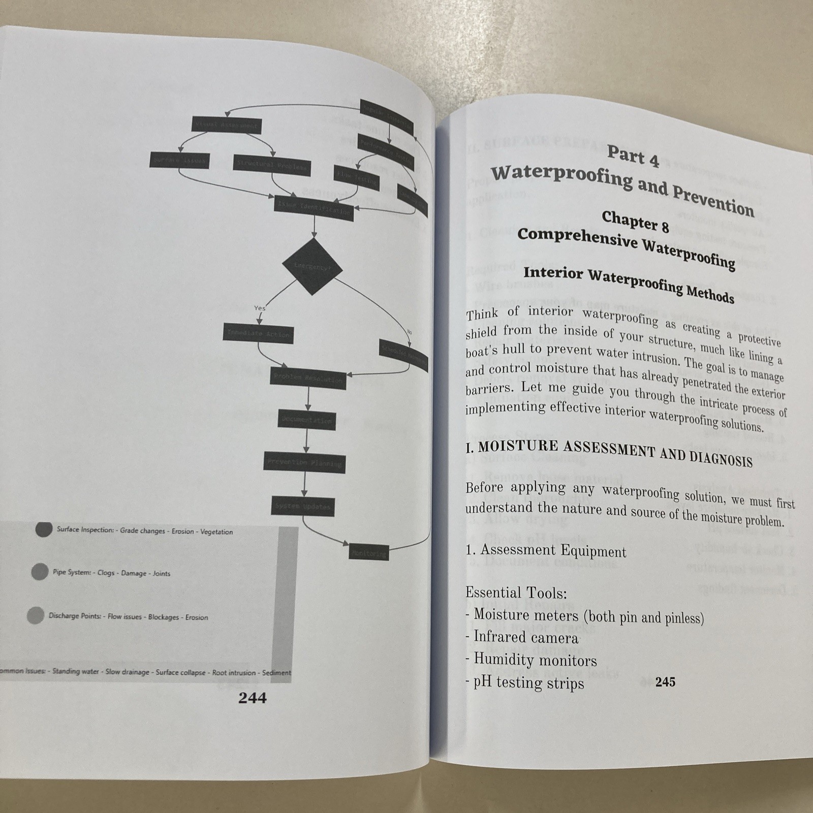 DIY Brick and Stone Repair SC Tom Martinez 2025 Independently Published Masonry