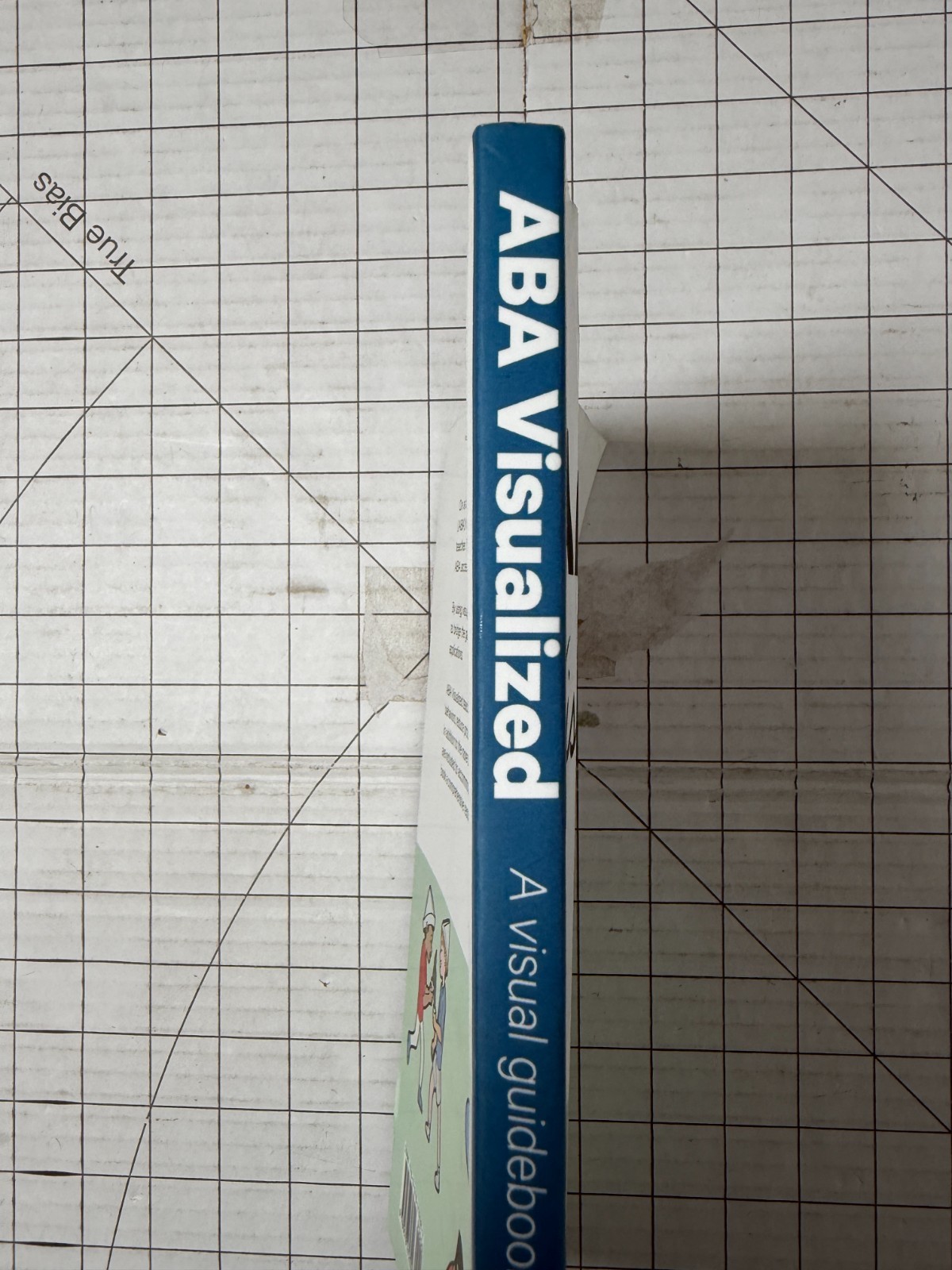 ABA Visualized: A Visual Guidebook for Parents and Teachers by Morgan van Diepen