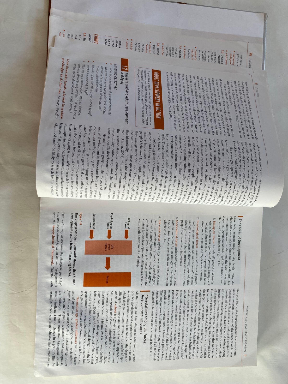 Adult Development and Aging by Fredda Blanchard-Fields & John C Cavanaugh 7e
