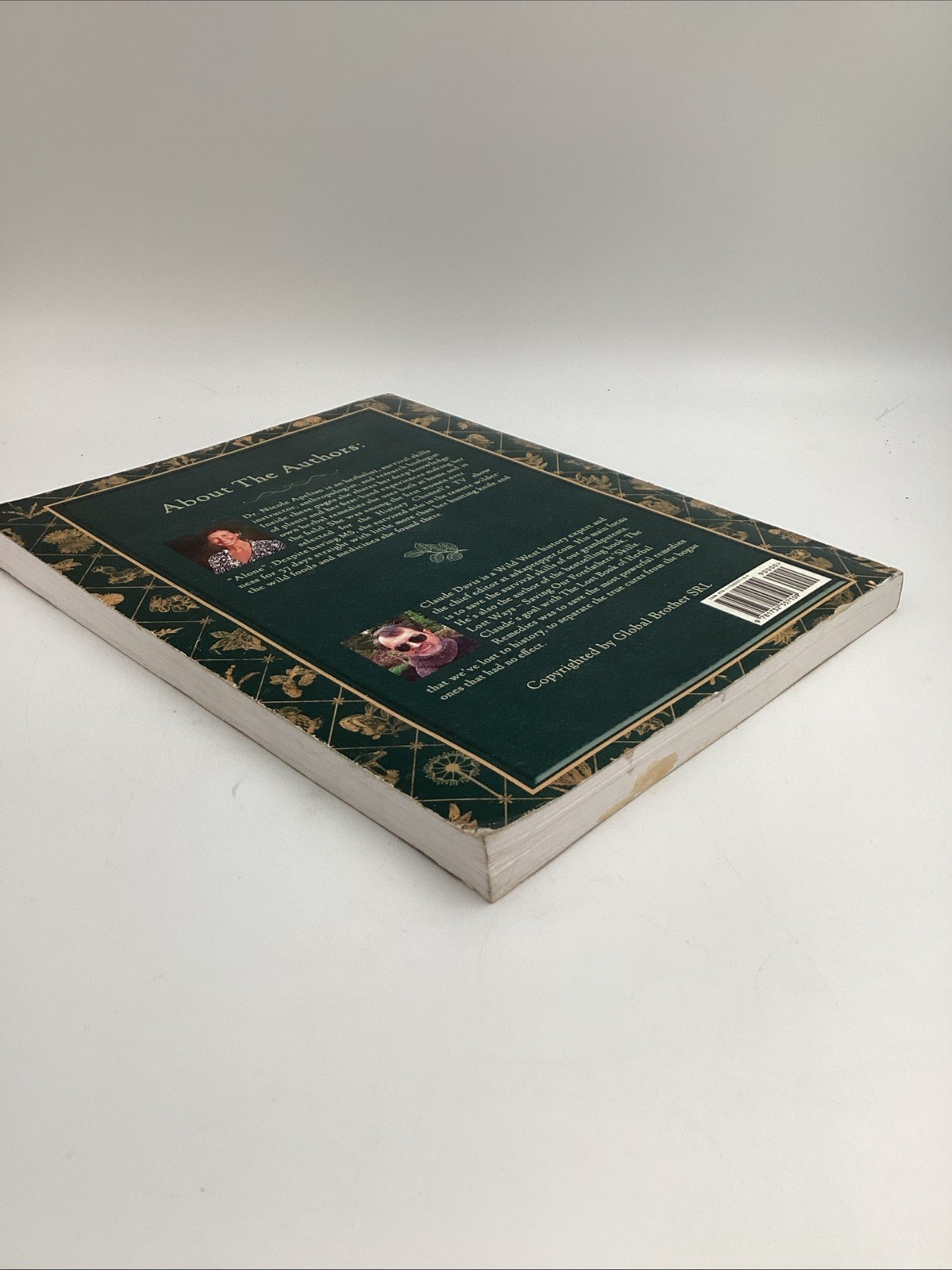 The Lost Book Of Herbal Remedies The Healing Power Of Plant Medicine Apelian
