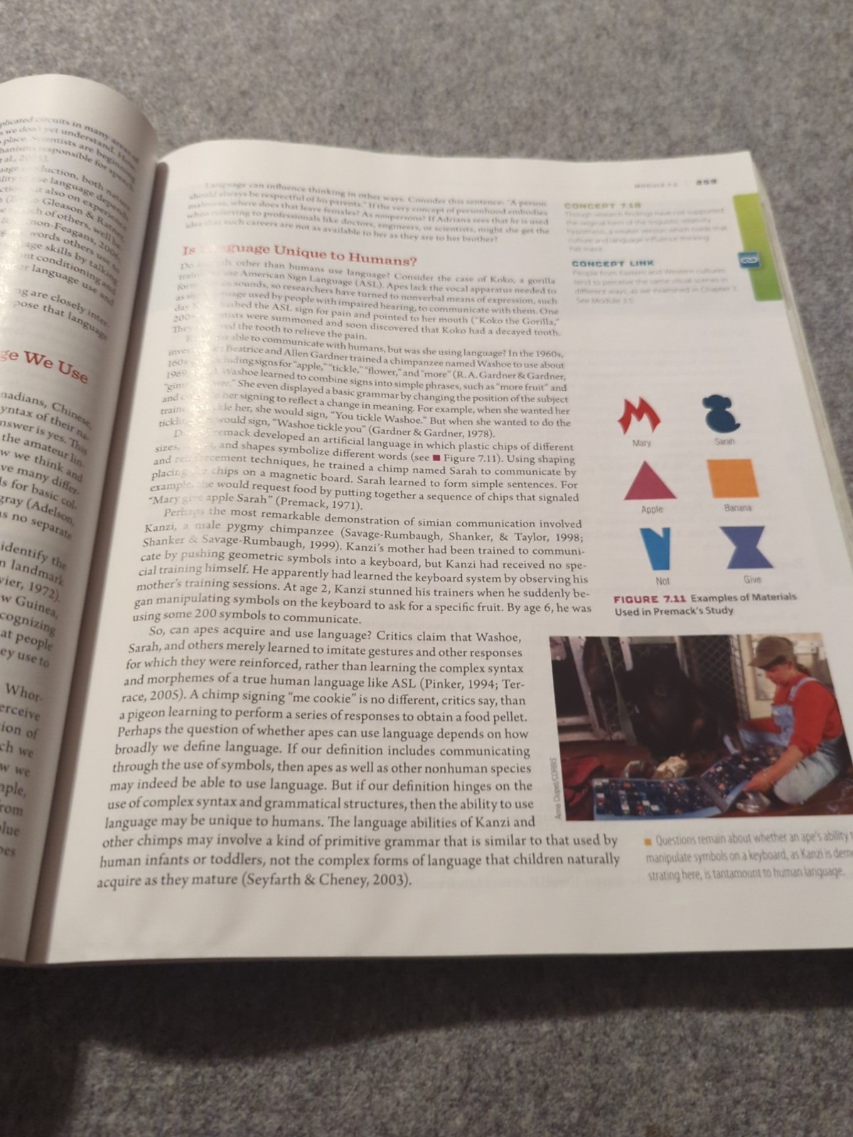 Essentials of Psychology Concepts and Applications by Jeffrey S Nevid 4th Ed.