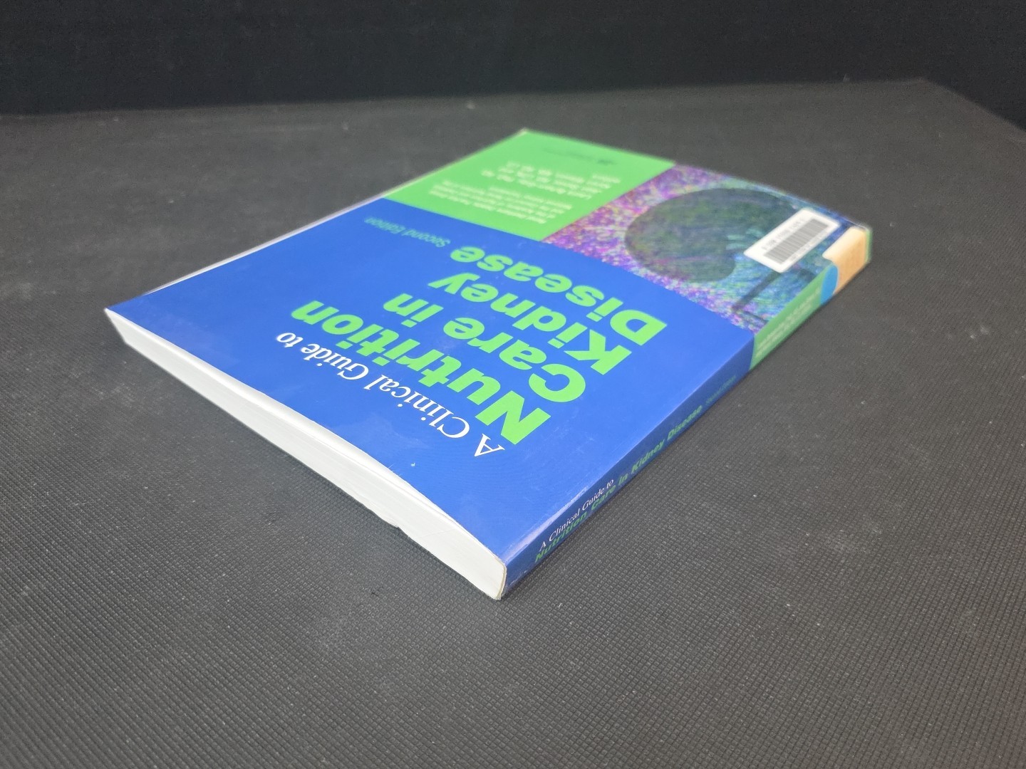 Clinical Guide to Nutrition Care in Kidney Disease by Laura Gray-Byham 2013