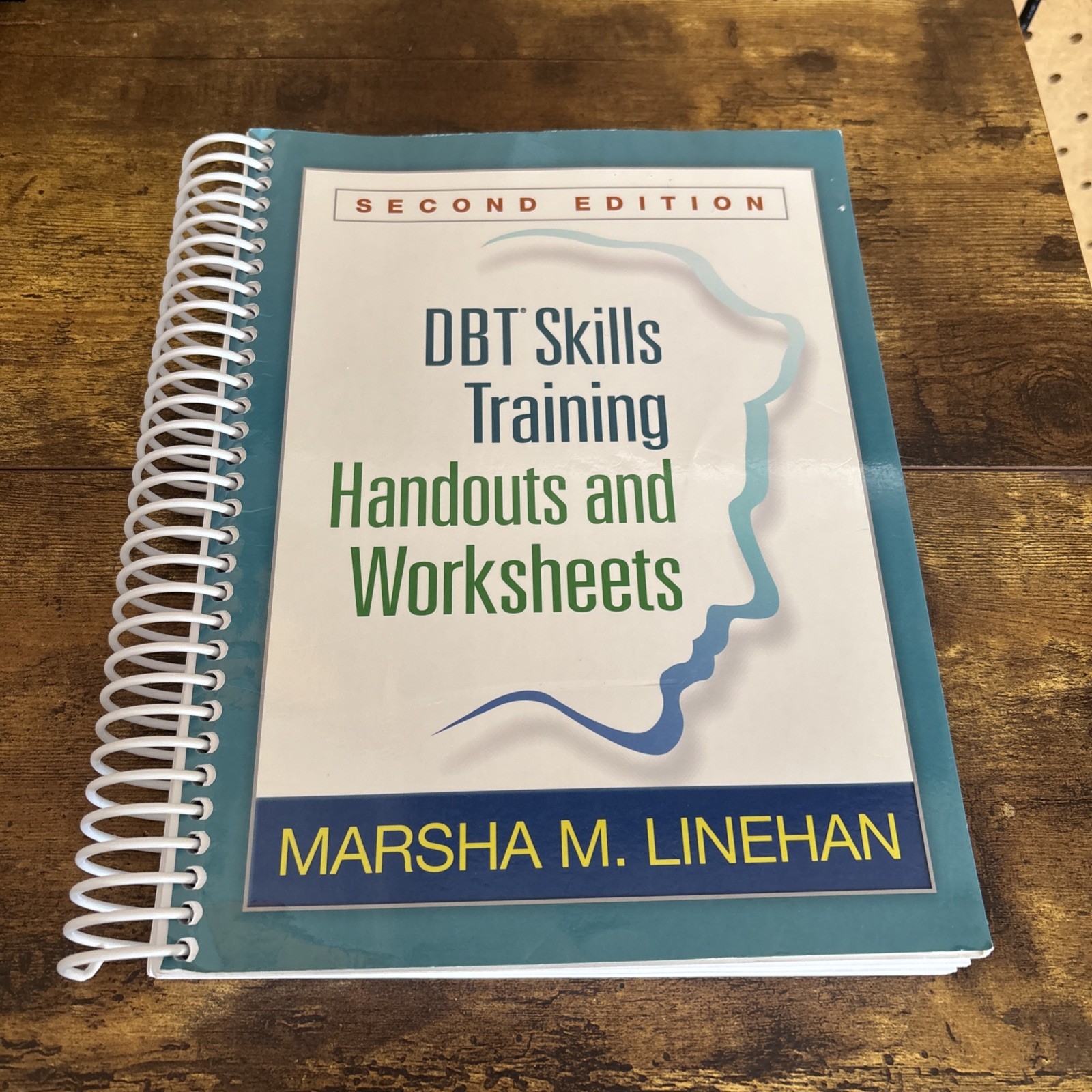 DBT Skills Training Handouts and Worksheets by Marsha M. Linehan (2014, Trade…