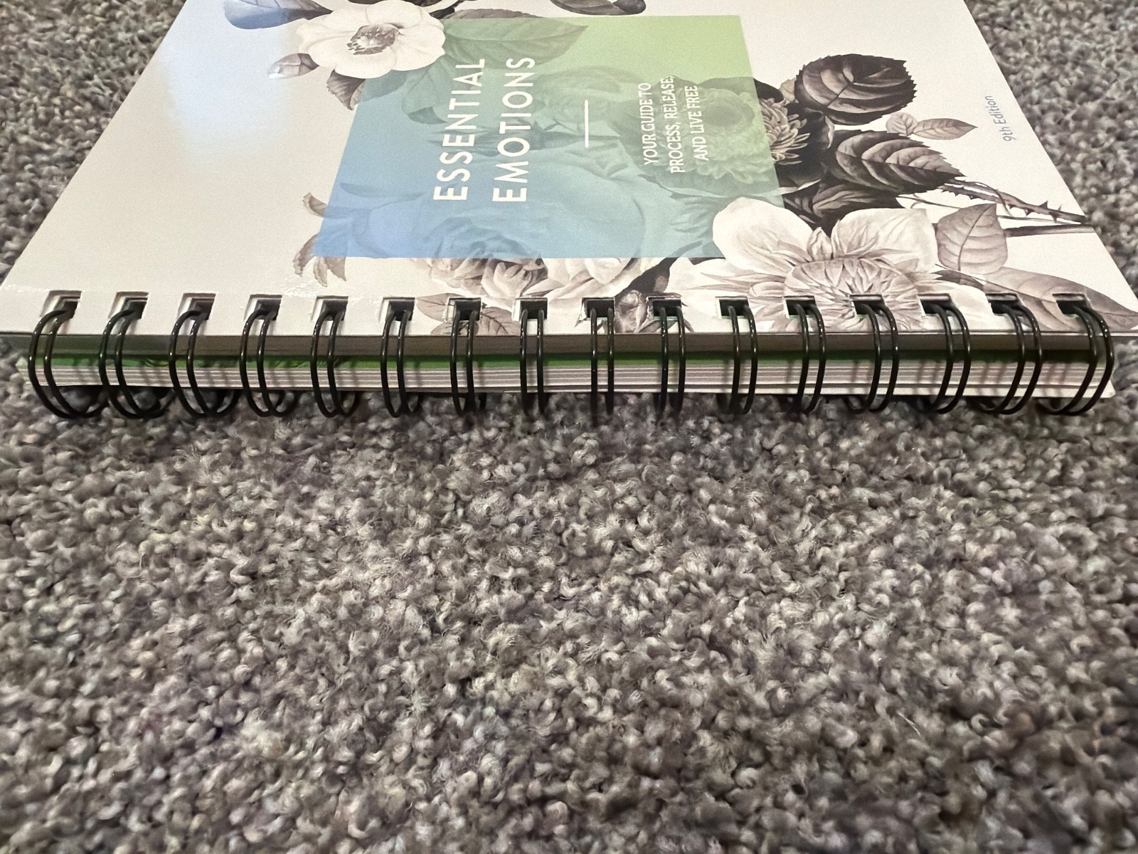 Essential Emotions Book 9th Edition by Essential Emotions (2020, Trade…