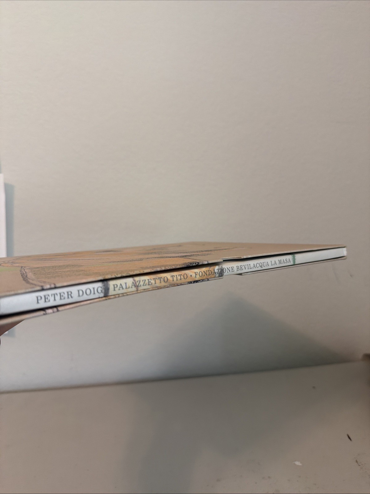 Peter Doig: Palazzetto Tito – Fondazione Bevilacqua La Masa, 2015, Slipcase