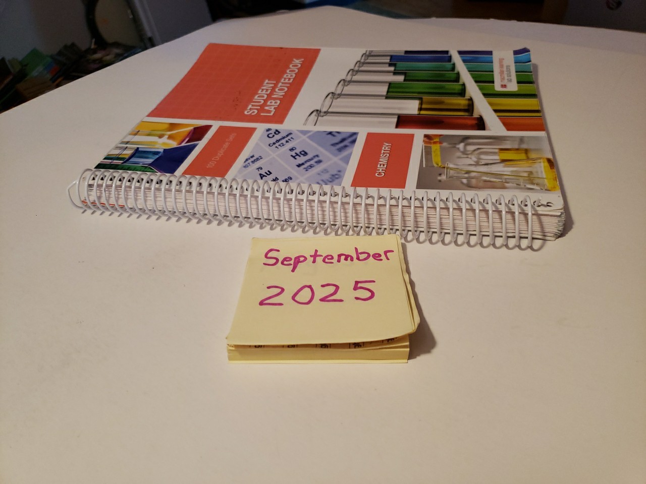 Student Lab Notebook: Chemistry by Hayden-McNeil – 100 Duplicate Sets UNMARKED
