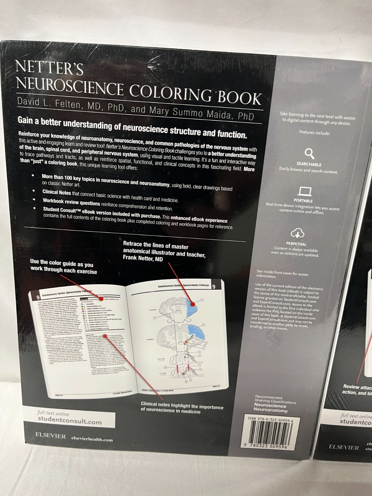 SET OF 2 Netter’s Neuroscience Coloring Book NEW!!