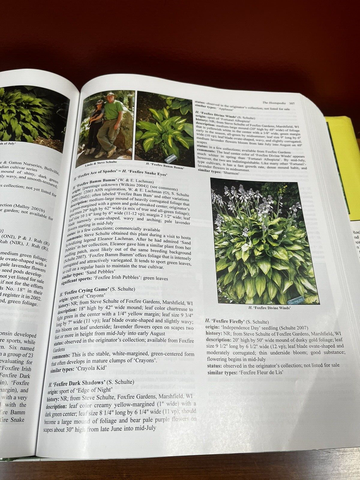 The Hostapedia: An Encyclopedia of Hostas by Mark R. Zilis