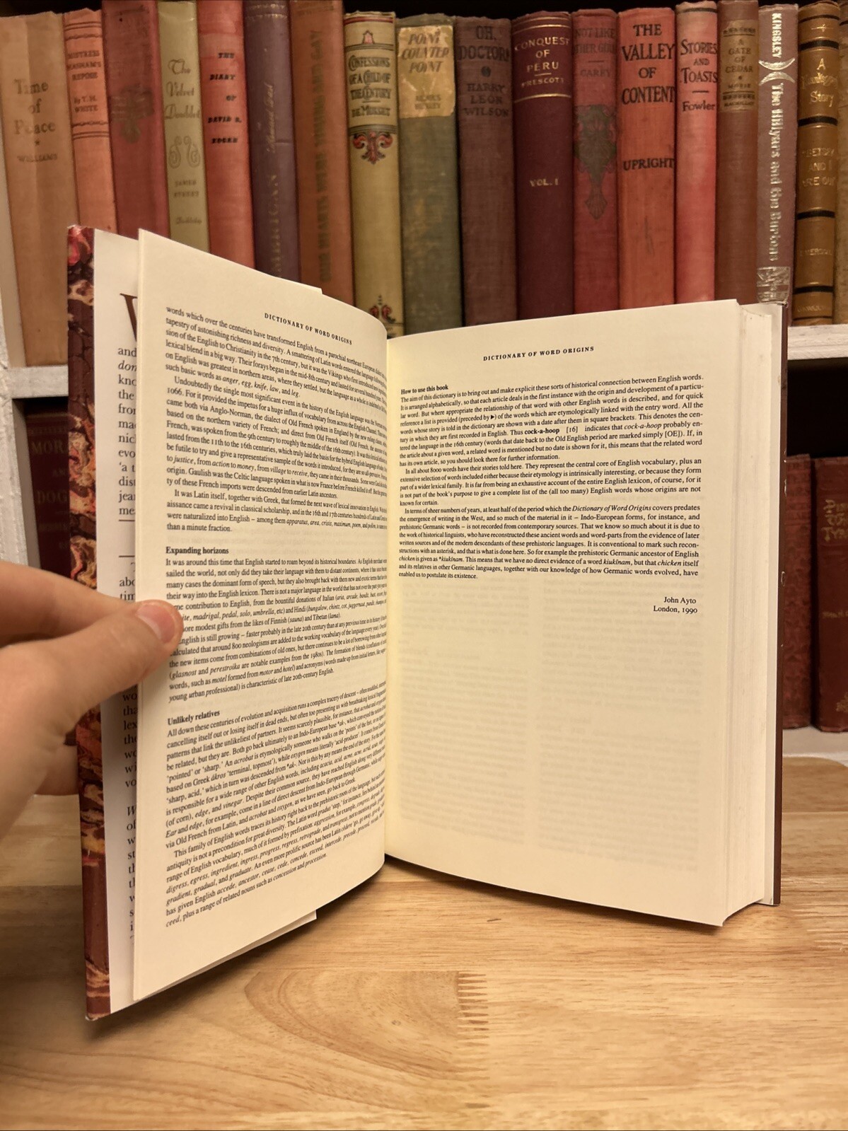 Arcade Dictionary of Word Origins by John Ayto. Arcade Publishing 1990 HCDJ