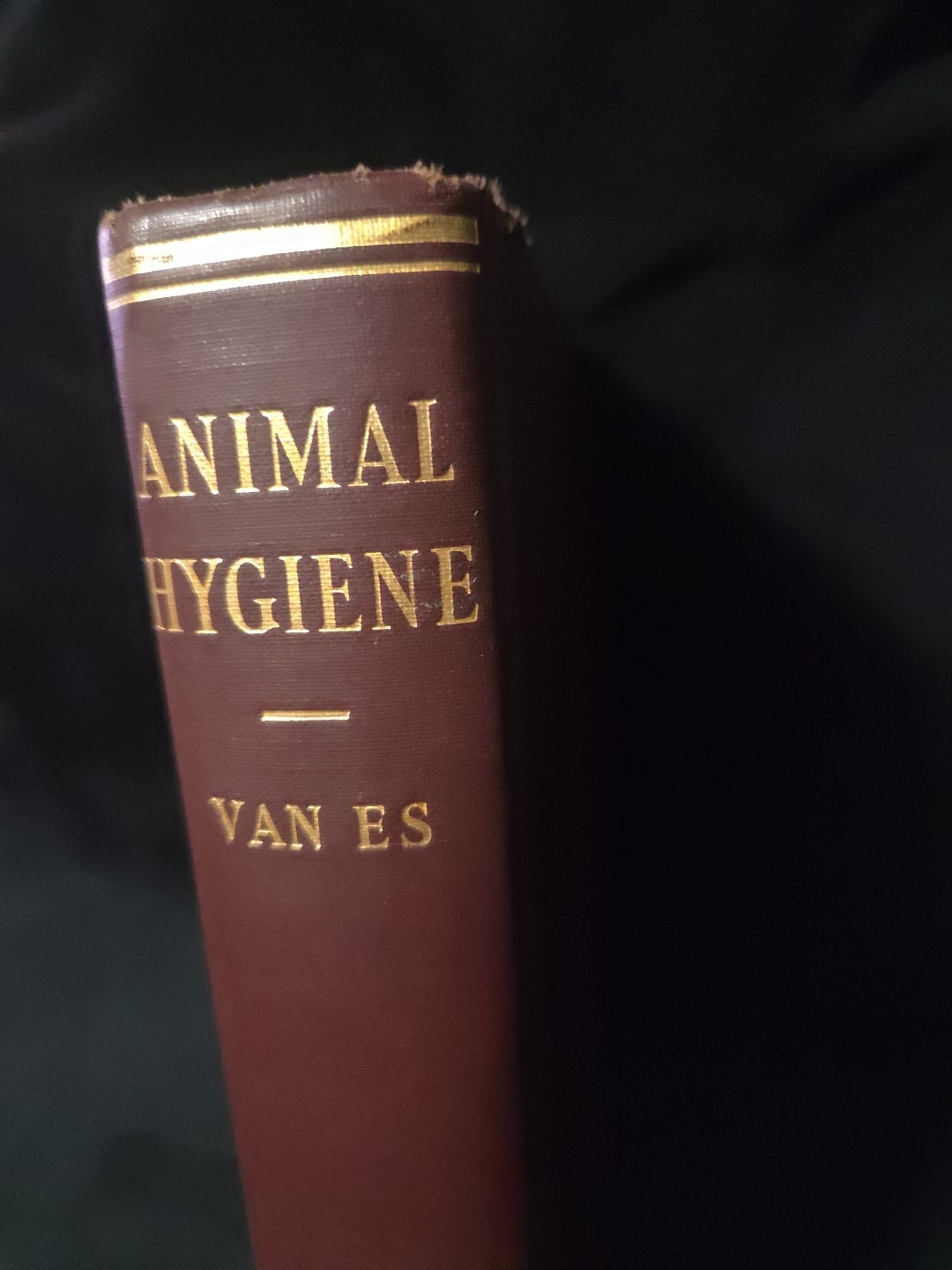 Animal Hygiene Van Es John Wiley and Sons 1932 HC
