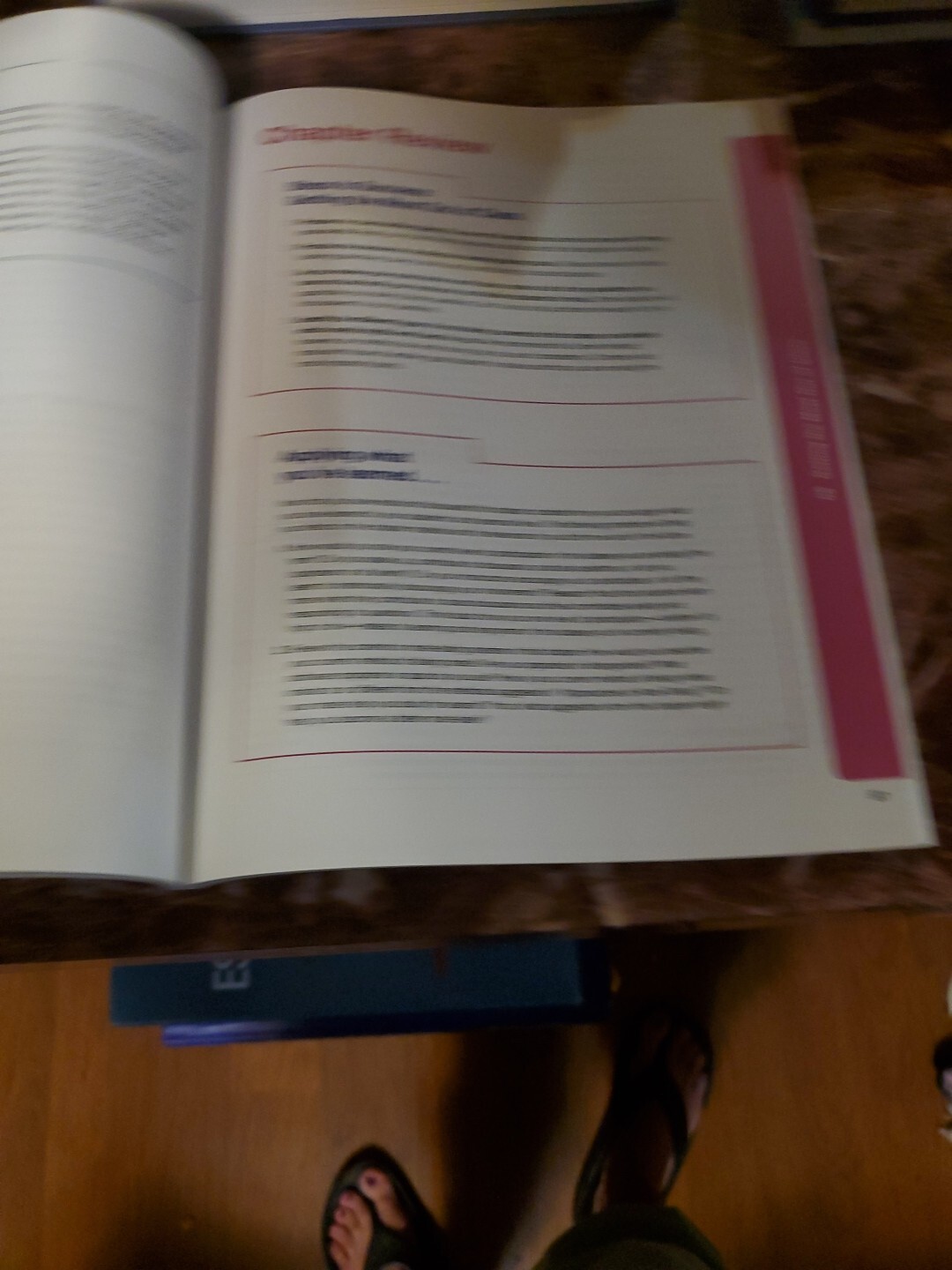 Step by Step to College and Career Success by Gardner, Barefoot 2017 PB