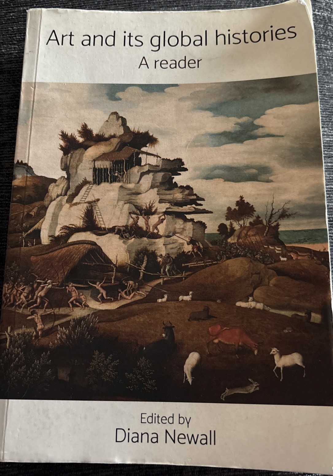 Art and its Global Histories: A Reader by Diana Newall (Paperback, 2017)~ Used