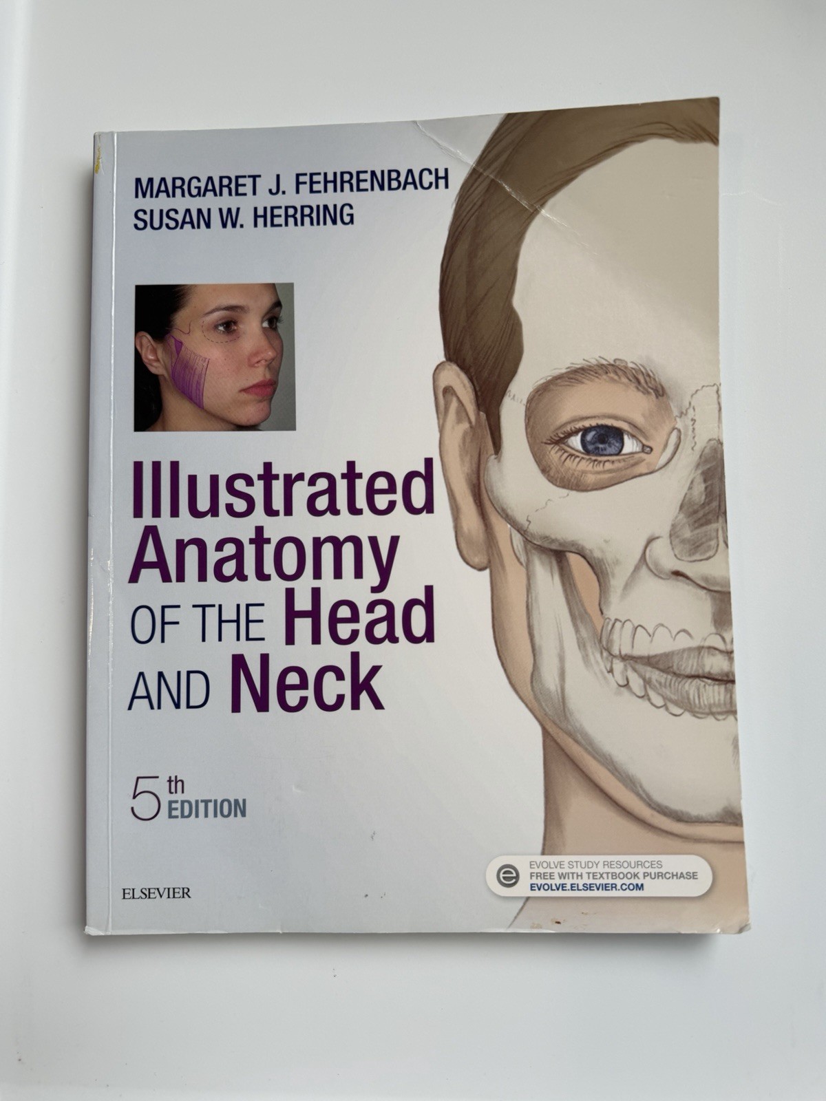 Illustrated Anatomy of the Head and Neck by Margaret J. Fehrenbach and Susan W.