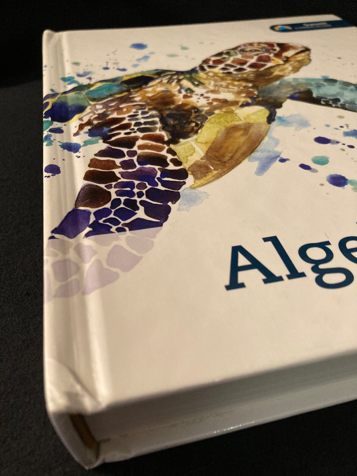 Algebra 1 Hard Cover Textbook Summit K12 500 Pages w/Glossary