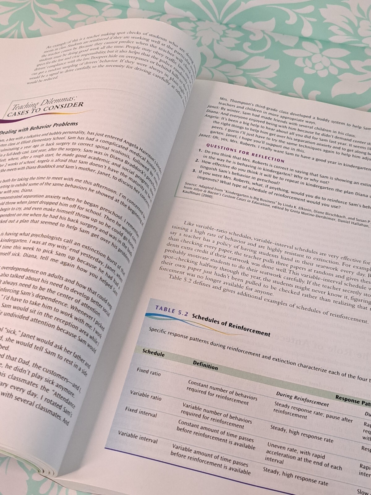 Educational Psychology : Theory and Practice by Robert E. Slavin (2008, Trade…