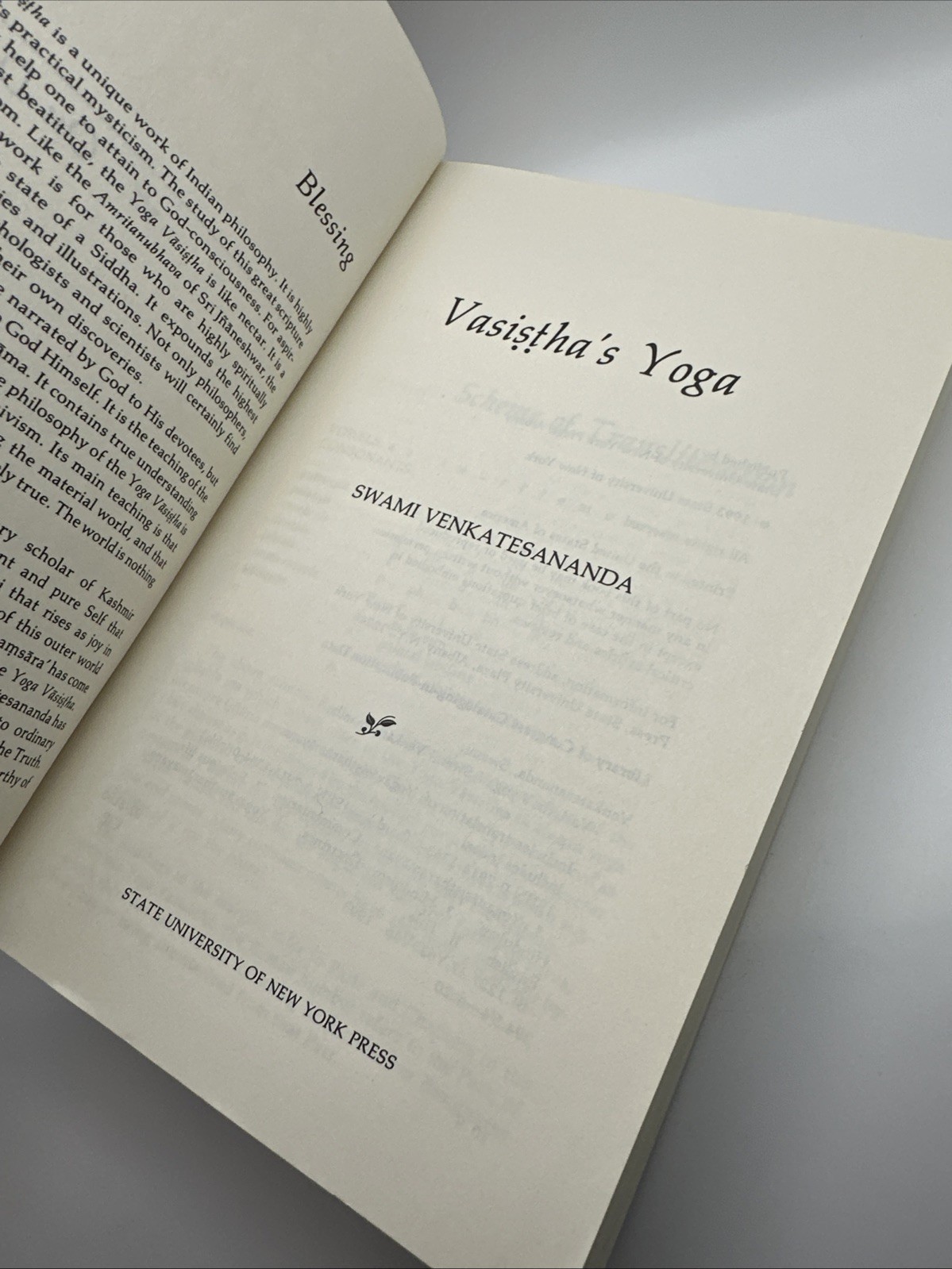 Vasistha’s Yoga by Swami Venkatesananda (1993, Paperback) FREE SHIPPING!