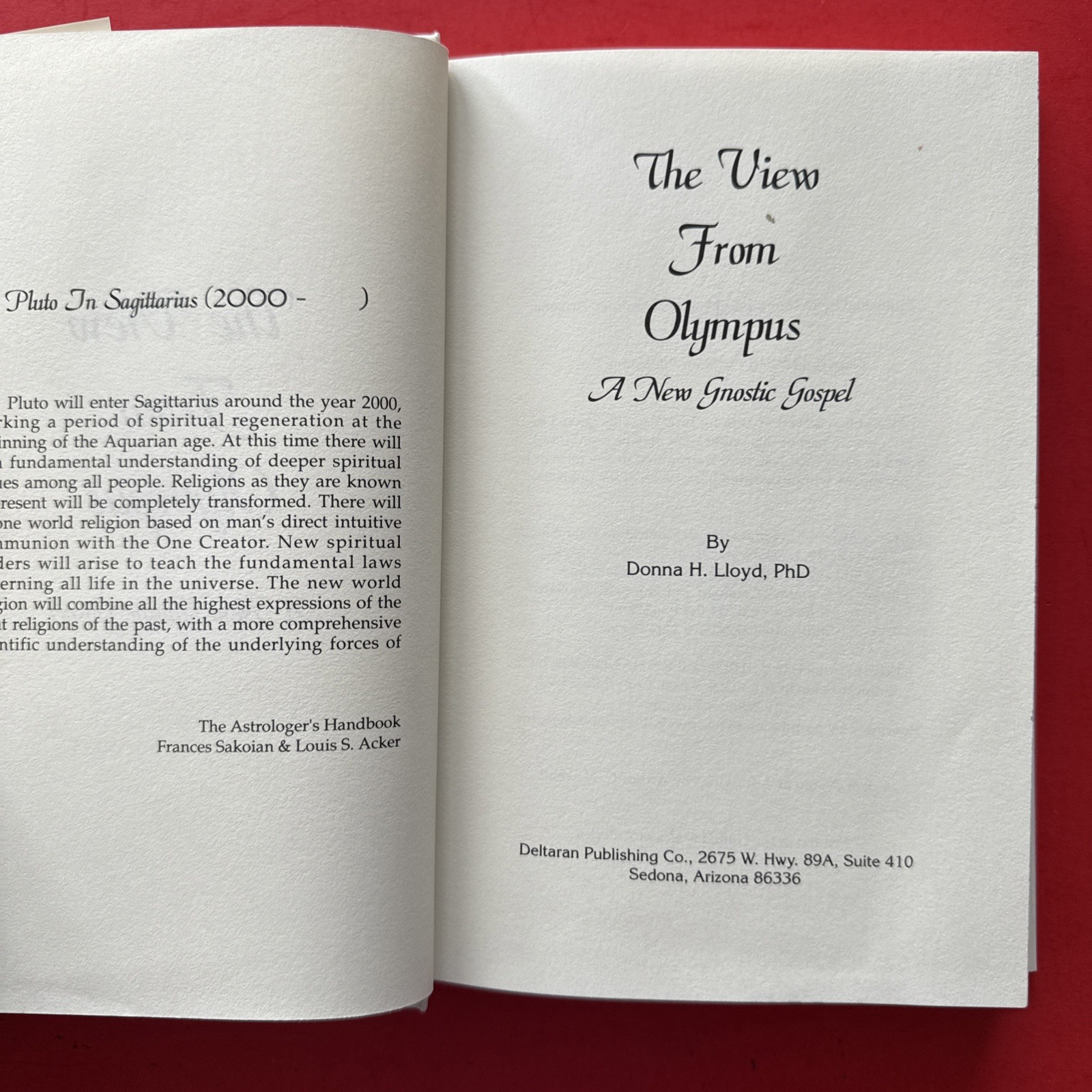 THE VIEW FROM OLYMPUS: A NEW GNOSTIC GOSPEL By D. H. Lloyd – Hardcover RARE