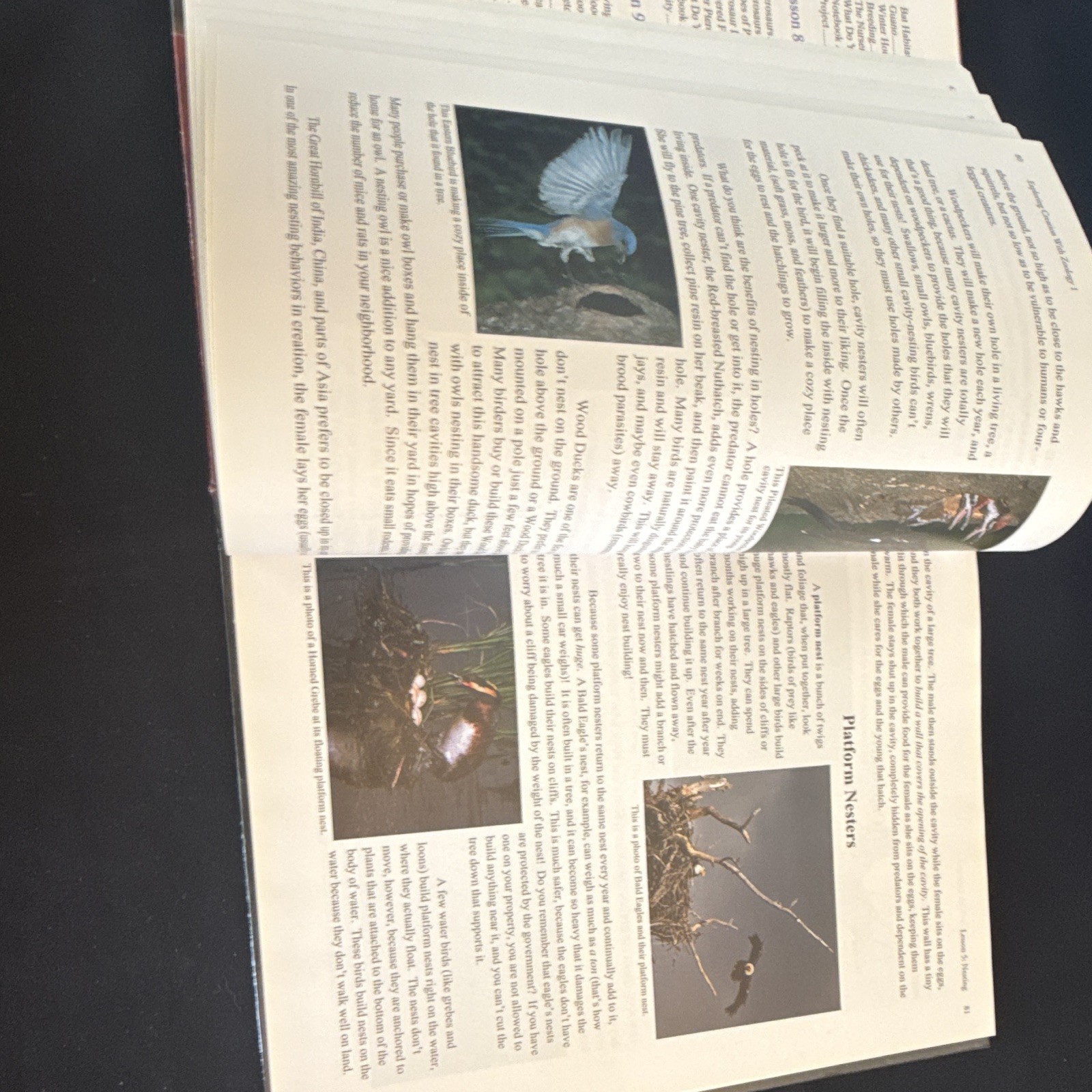 Apologia Young Explorer Zoology 1 Flying Creatures Jeannie Fulbright HC Illus