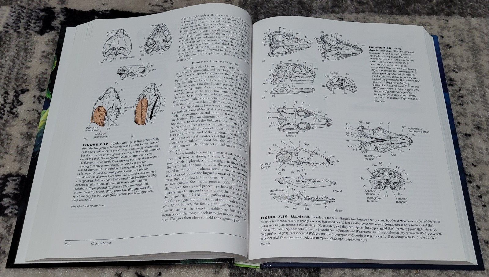 Vertebrates + Lab Dissection Manual