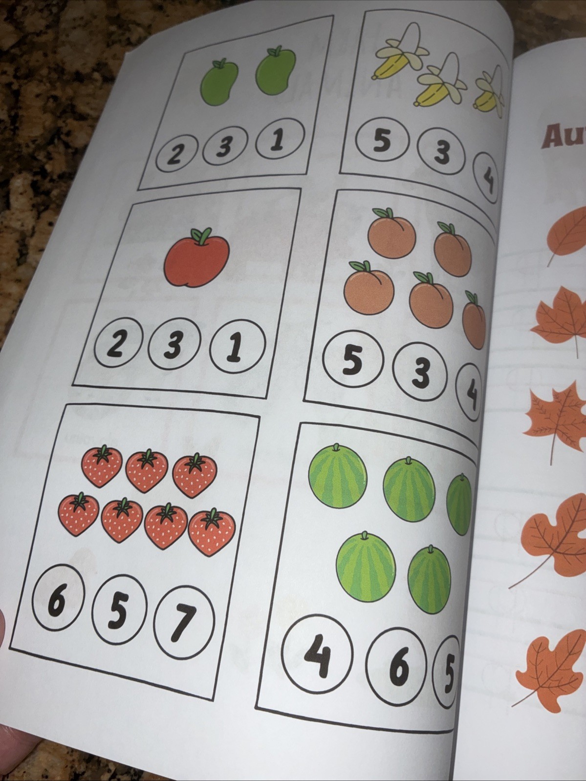 Preschool for 3-year-olds Workbook: 30 weeks complete lesson plans Homeschool