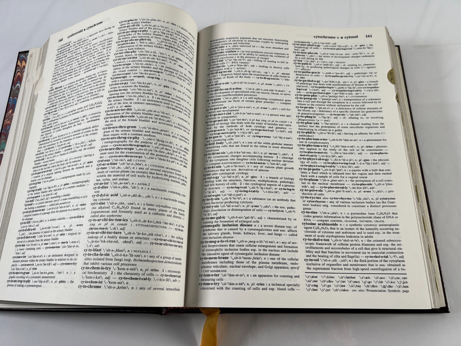 Webster’s Medical Desk Dictionary 1986 Decorative Leatherbound Merriam Webster