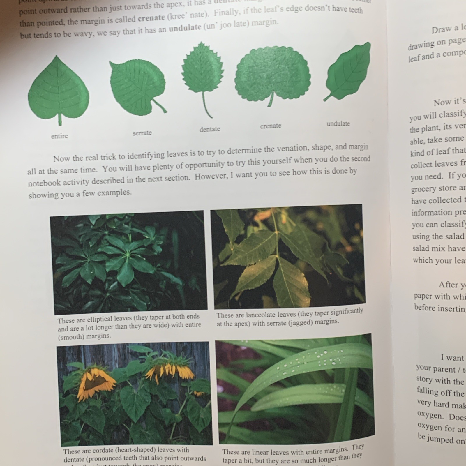 Apologia Young Explorer Exploring Creation with Botany Science Text Homeschool