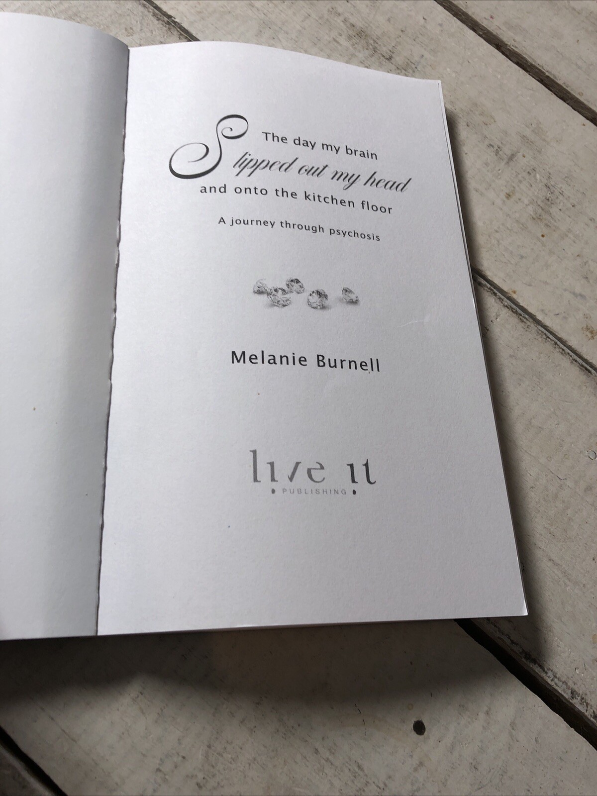 Day My Brain Slipped Out My Head Melanie Burnell Humorous Memoir PB
