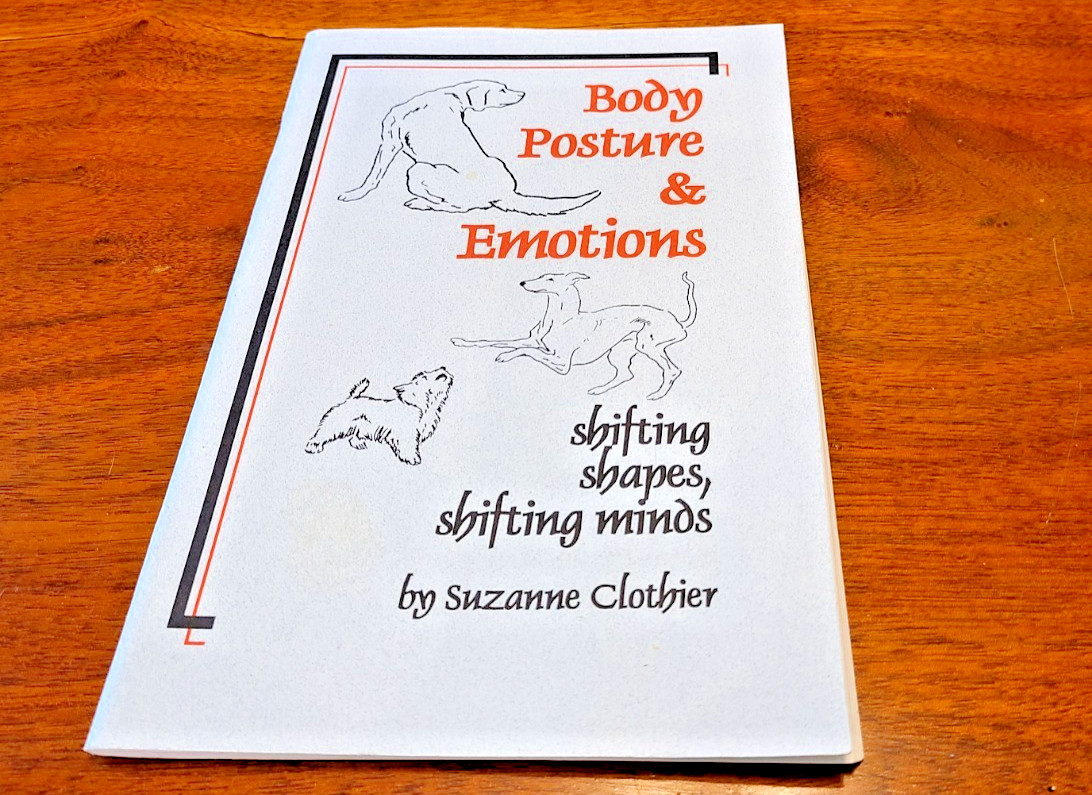 Body Posture & Emotions: Shifting Shapes, Shifting Minds by Suzanne Clothier