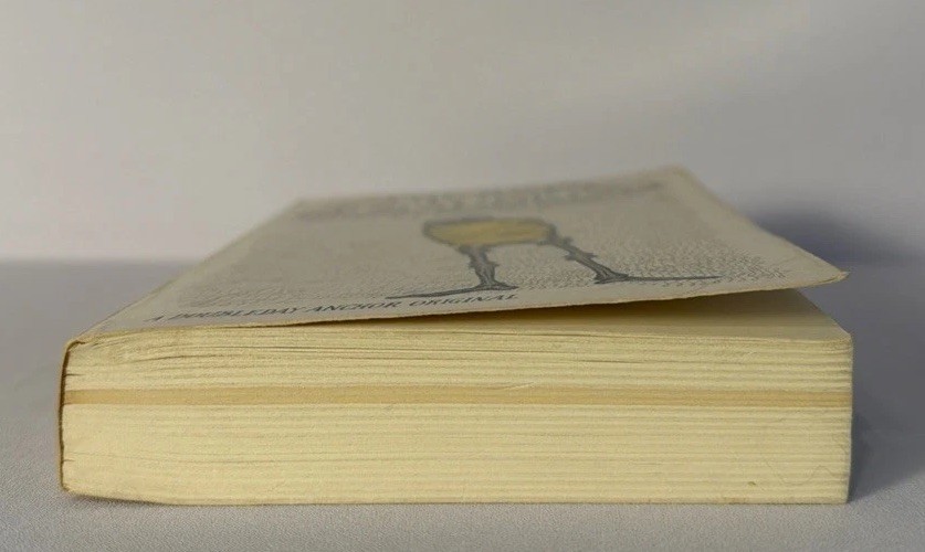 THE AGE OF MADNESS, Thomas S Szasz, 1973 Paperback, Doubleday /Anchor