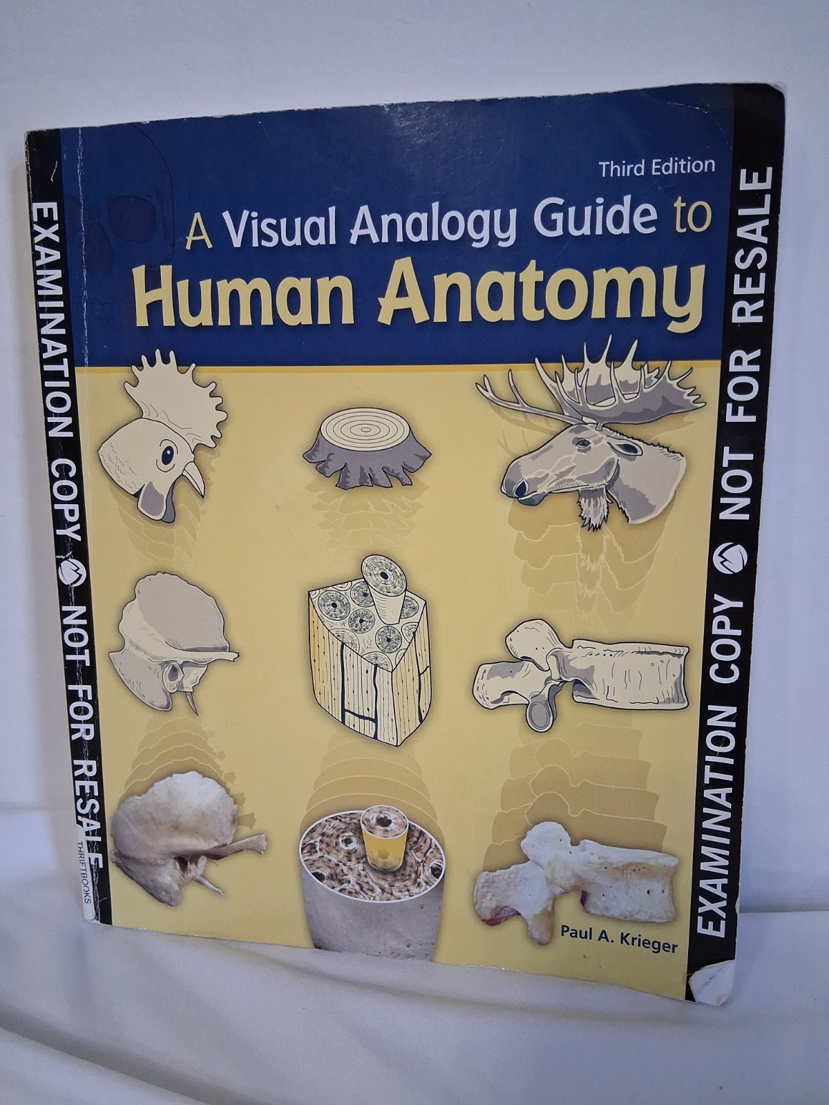 Visual Analogy Guide to Human Anatomy by Krieger 2012 3rd Ed Study Guide