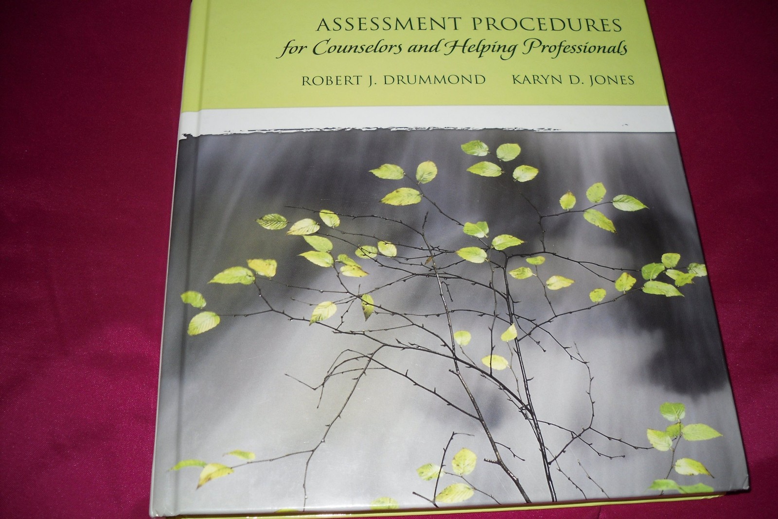 Assessment Procedures for Counselors and Helping Professionals (7th Edition)…