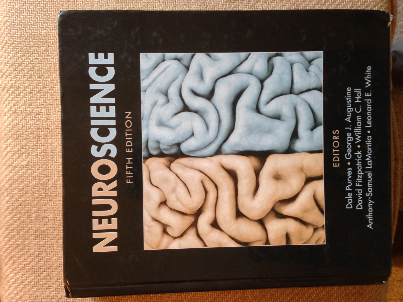 Neuroscience – hardcover Purves, Dale|Fitzpatrick, David|Augustine, George J…