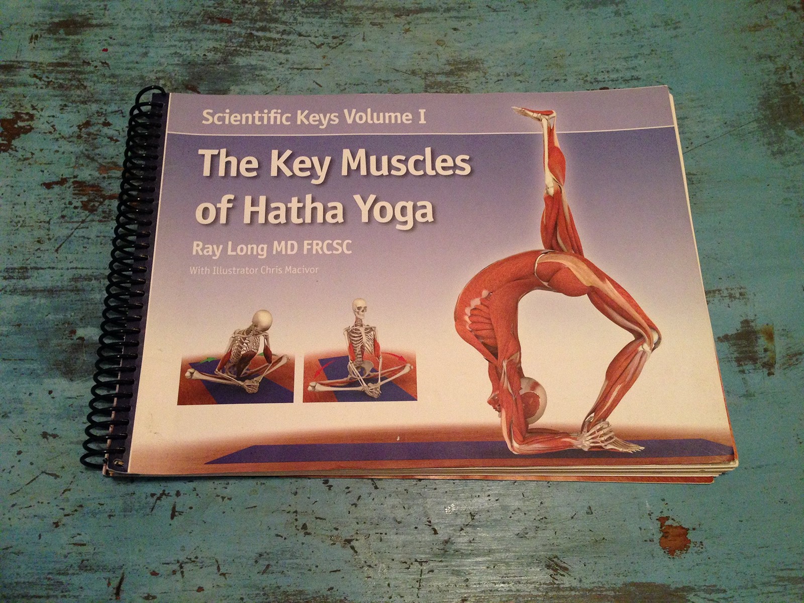 The Key Muscles of Hatha Yoga