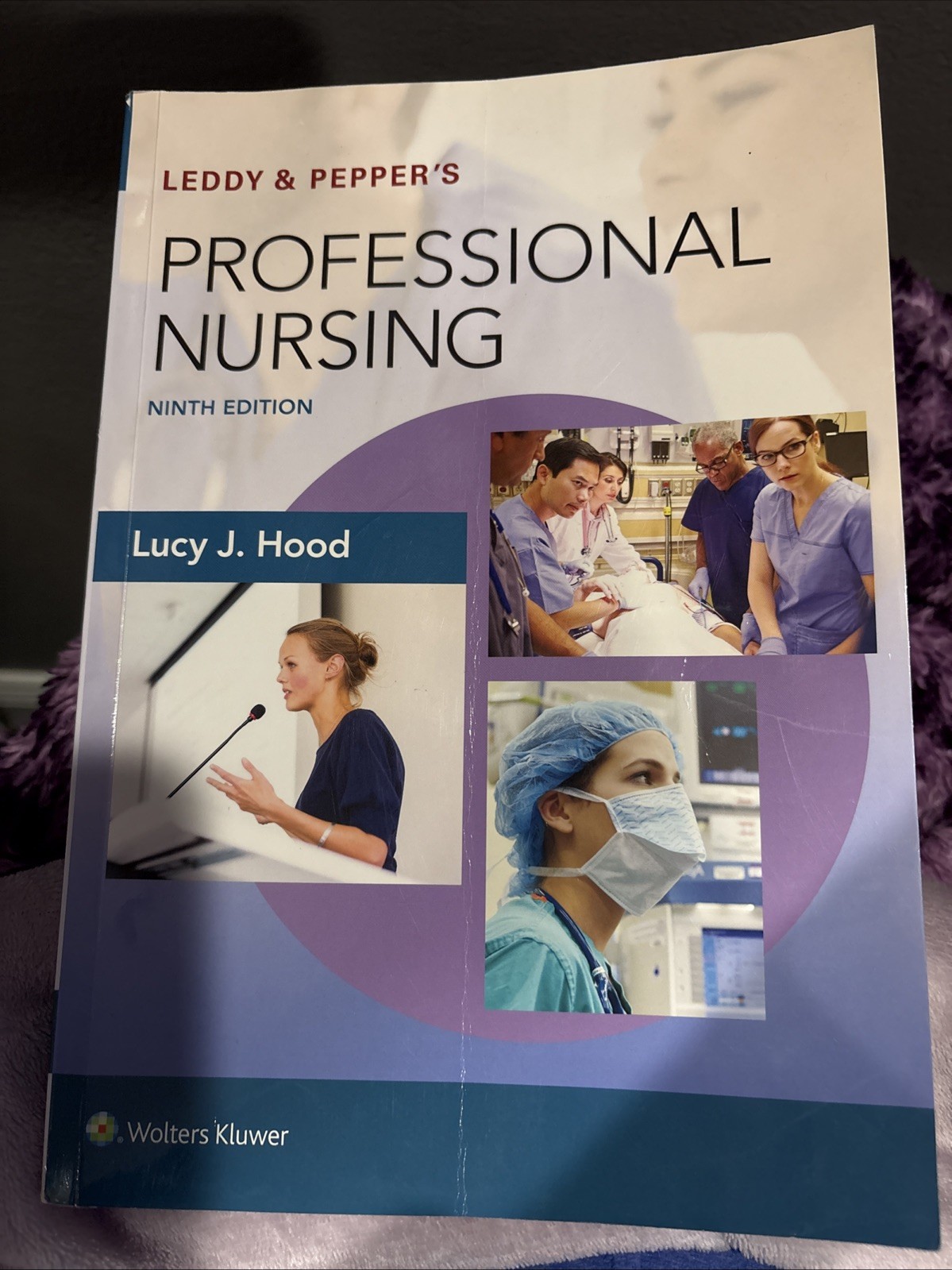 Leddy and Pepper’s Professional Nursing by Lucy Hood (2017, Trade Paperback)