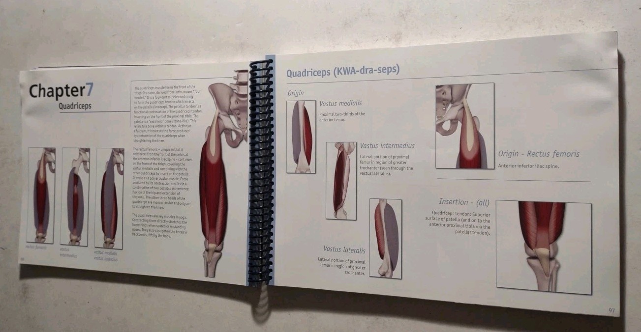 Scientific Keys Volume 1 The Key Muscles of Hatha Yoga by Raymond A. Long 2006.