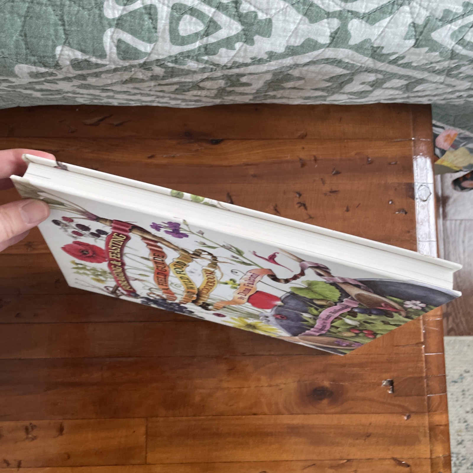 Foraging & Feasting: A Field Guide and Wild Food Cookbook Dina Falconi