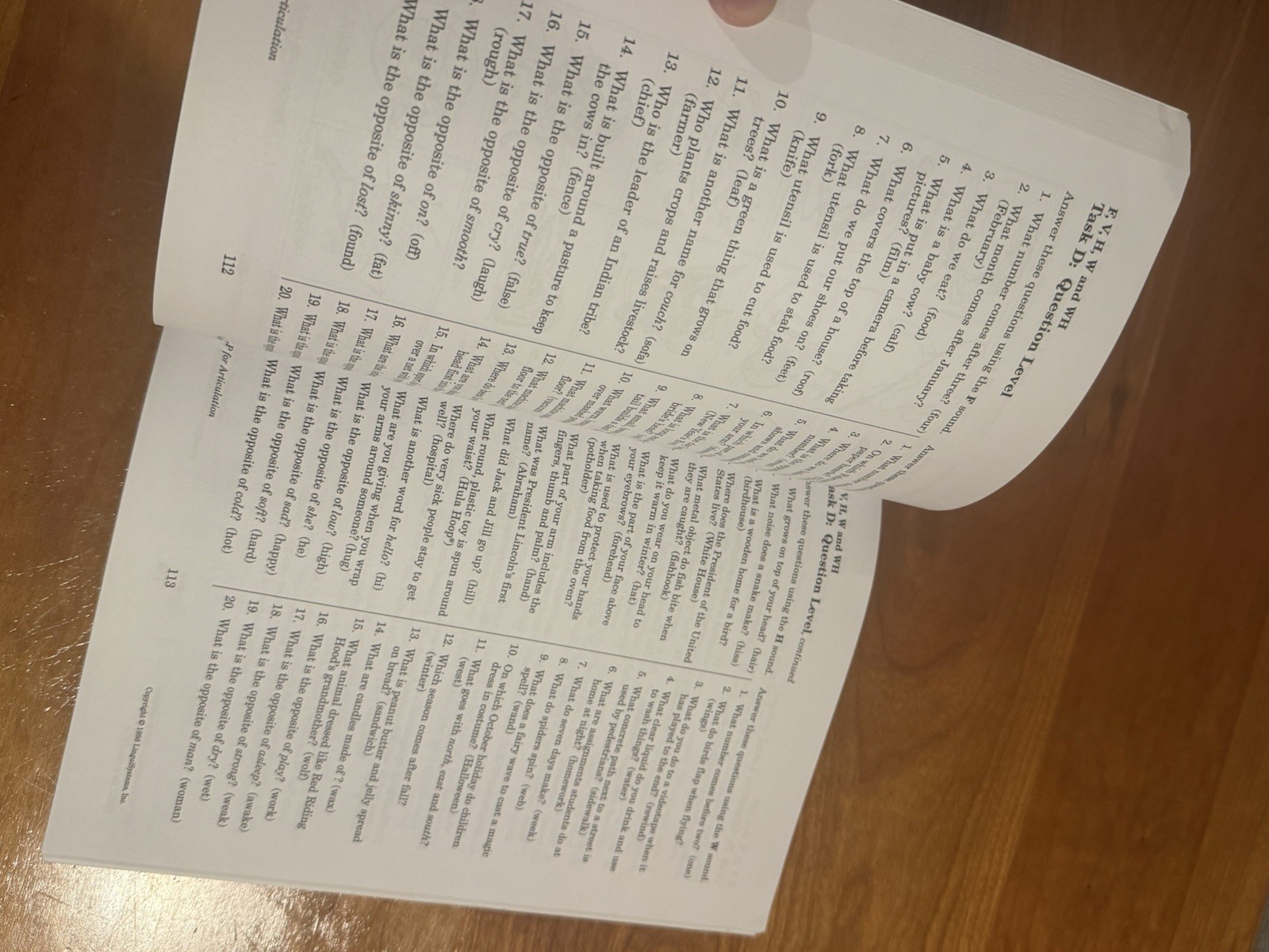1998 Linguisystems HELP for ARTICULATION 1998 Vintage Exceptional condition