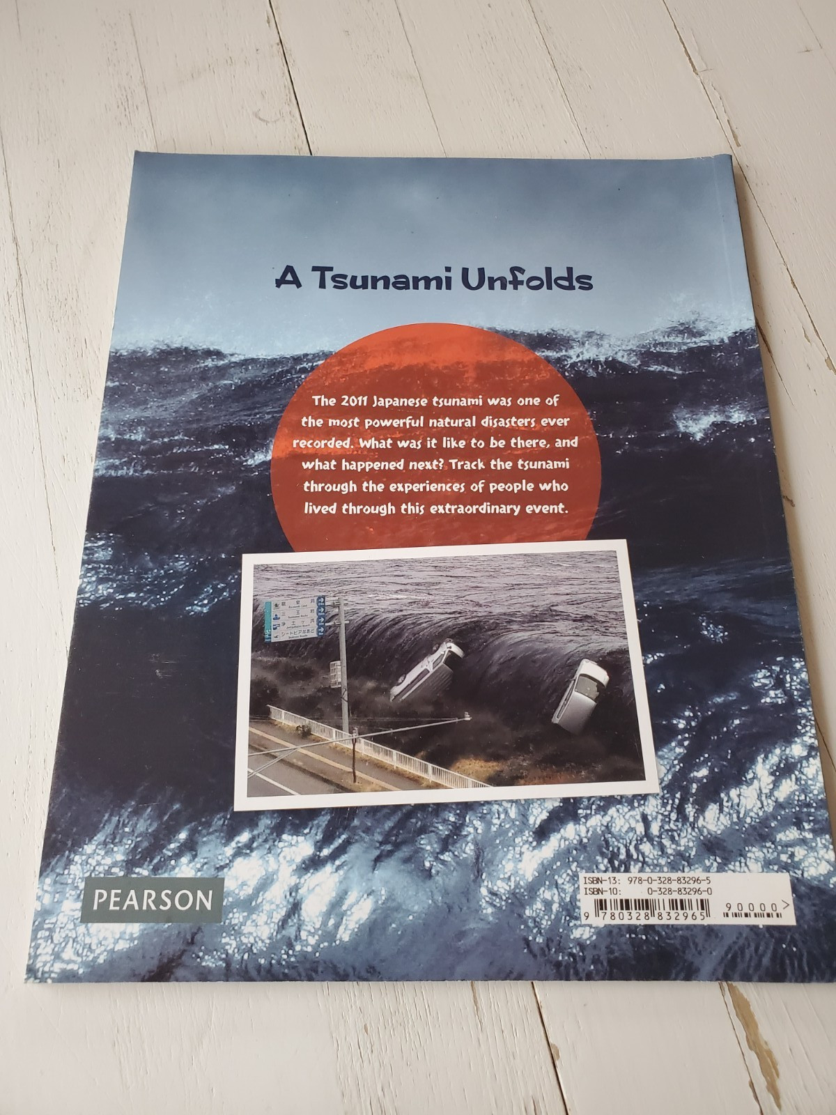 Tsunami Unfolds (Paperback) Copyright 2016 by Kimiko Kajikawa (2015, Trade…