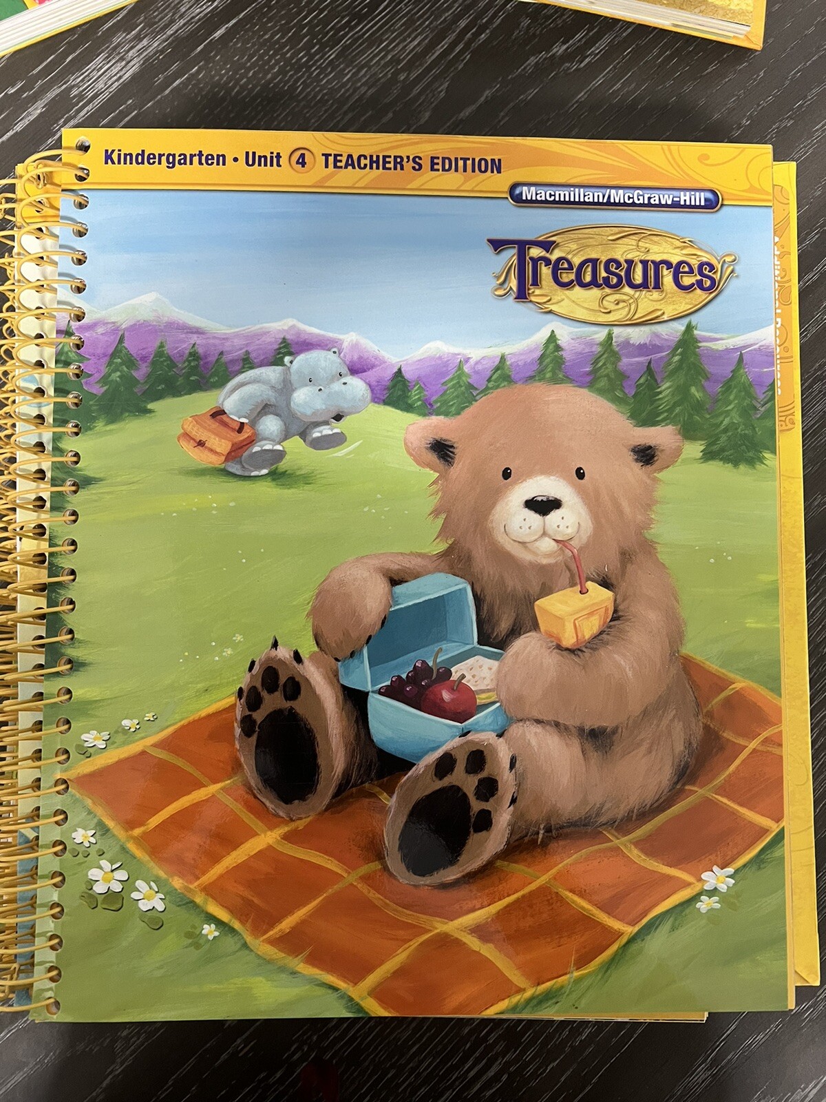 Macmillan McGraw Hill Treasures Grade K Kindergarten Teacher’s Edition 1-8 & 10