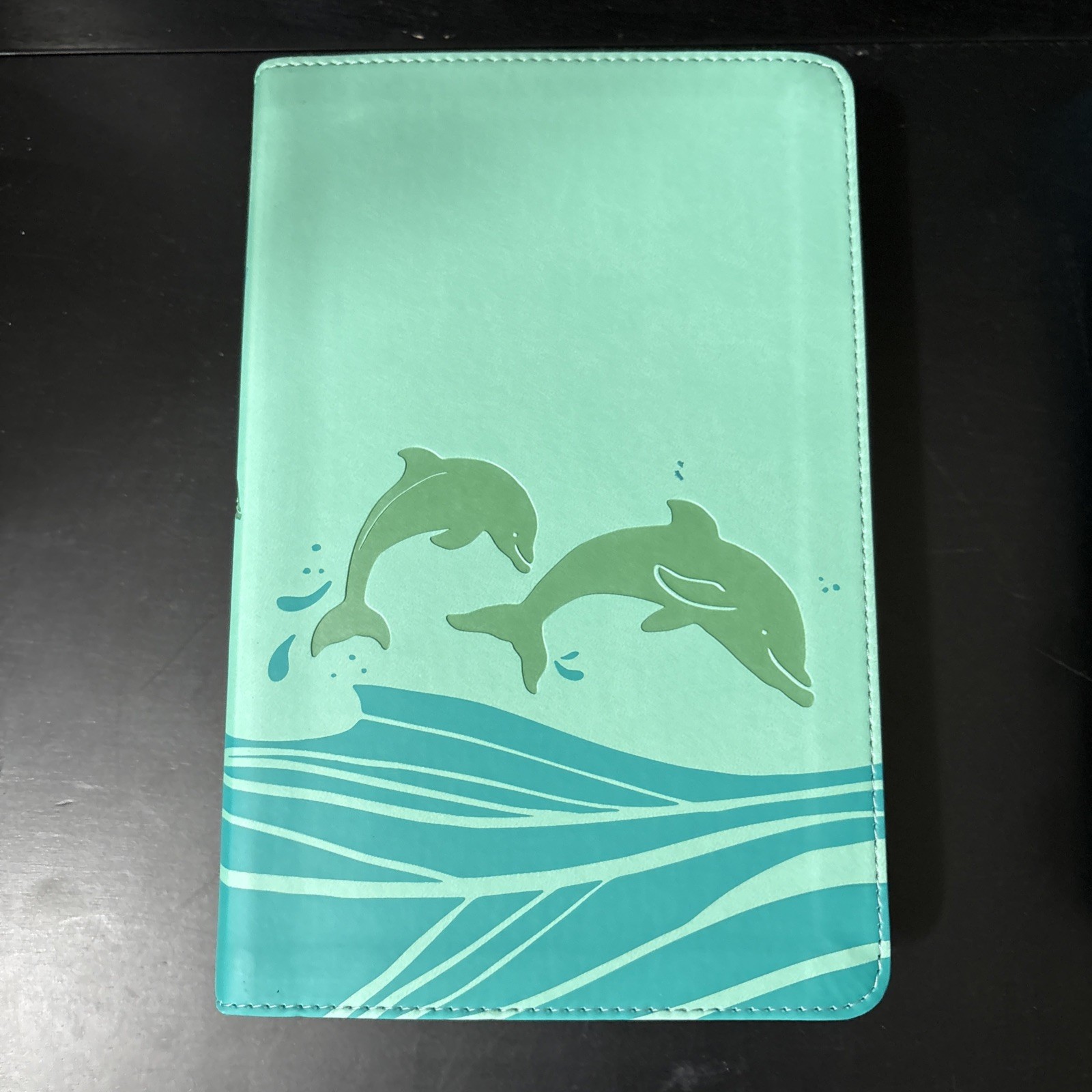 KJV Easy-For-Me Bible for Early Readers, Seafoam Leathertouch by Holman Bible Pu