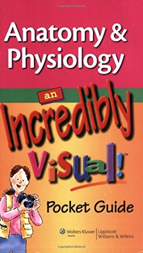 Anatomy and Physiology: An Incre… by Lippincott Williams Paperback / softback
